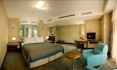 Ana Hotel