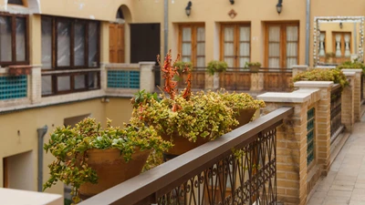 Sunrise Traditional Hotel
