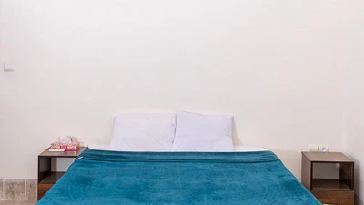 Ara Traditional Hotel