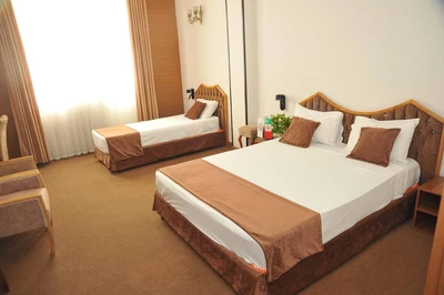 Park Saadi Hotel