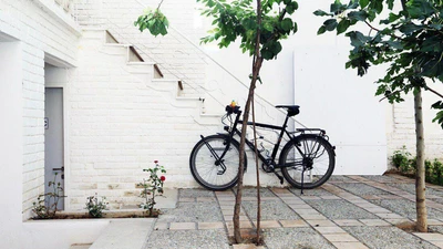 Tehran Heritage Hostel
