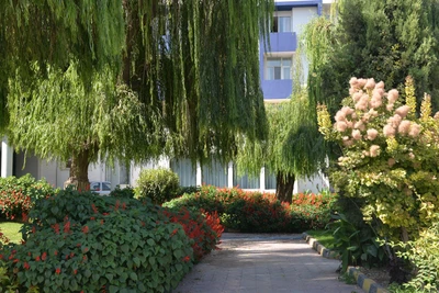Azadegan Hotel