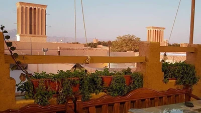 Jungle Hotel