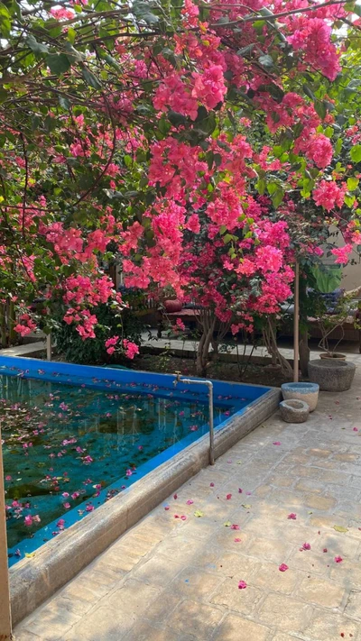 Yazd Kohan Hotel